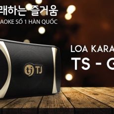 Loa-Karaoke-TJ-TS-G100.jpg